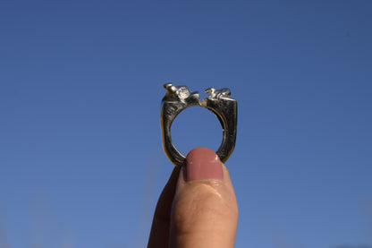 Kaikoura Seals Ring, Size L