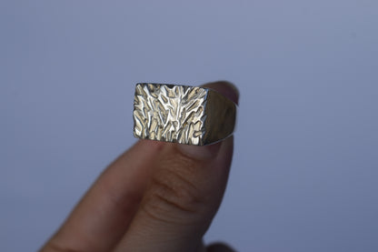 Franz Josef Glacier Ring, Size M