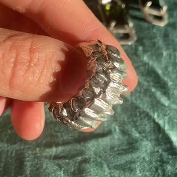 Centipede Ring, Size N