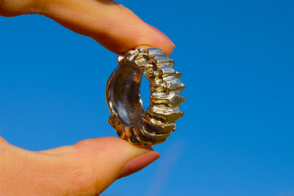 Centipede Ring, Size N