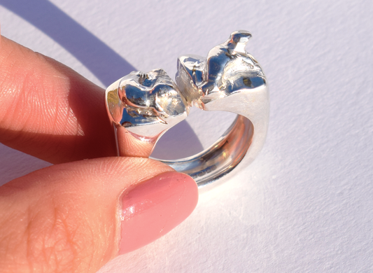 Kaikoura Seals Ring, Size L